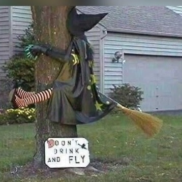 7E109076 DE6D 4410 81F2 A8C6ABB432C8 4 5005 c