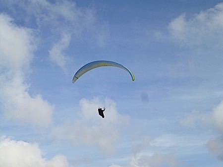 P1010250 2