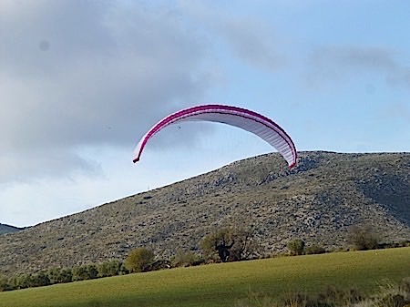 P1010263 2