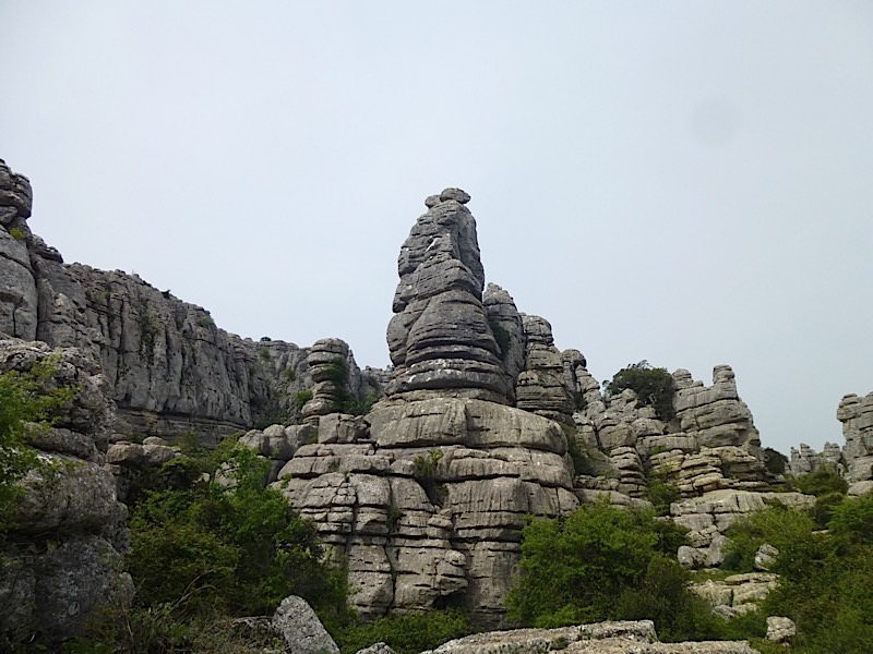 P1010513