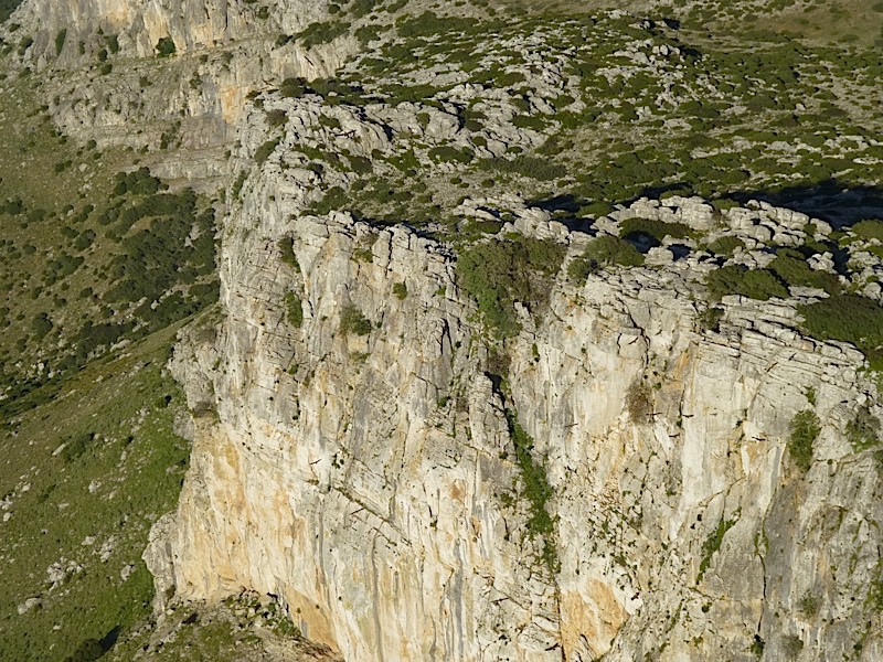 P1010556