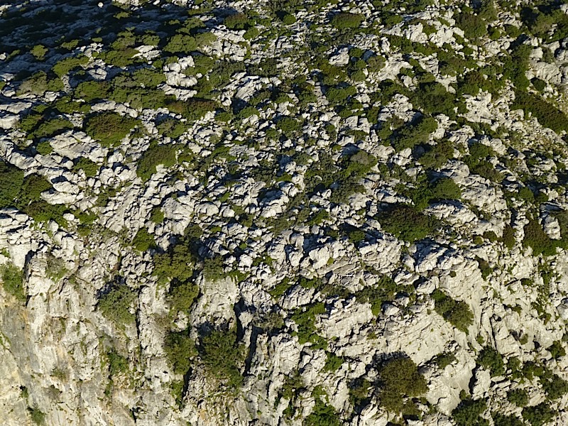 P1010557