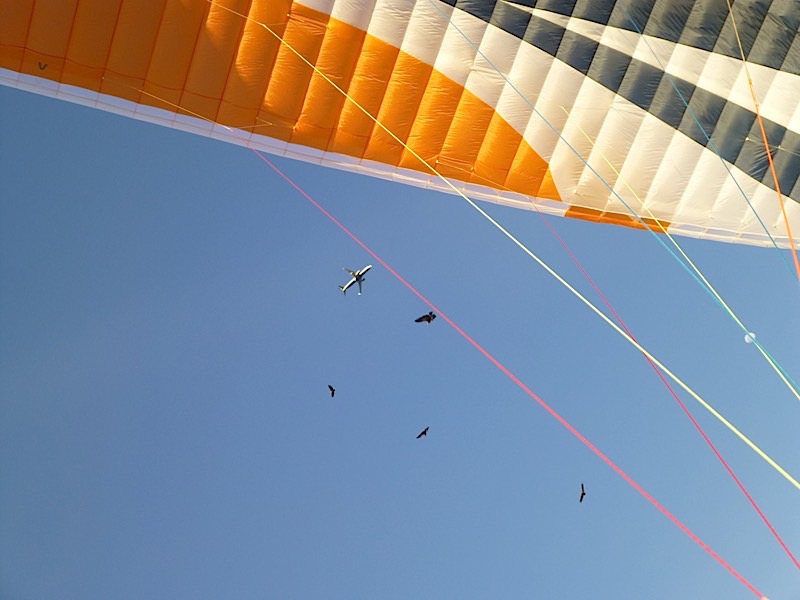 P1010571