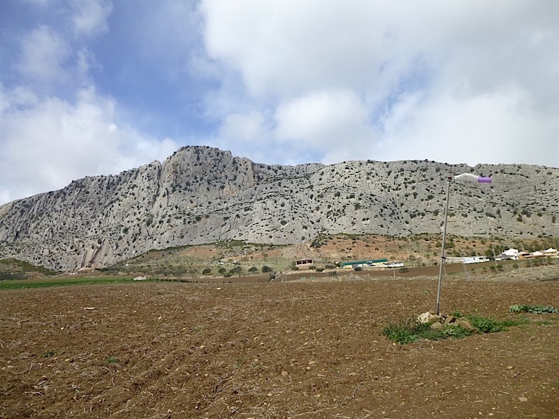 P1000630