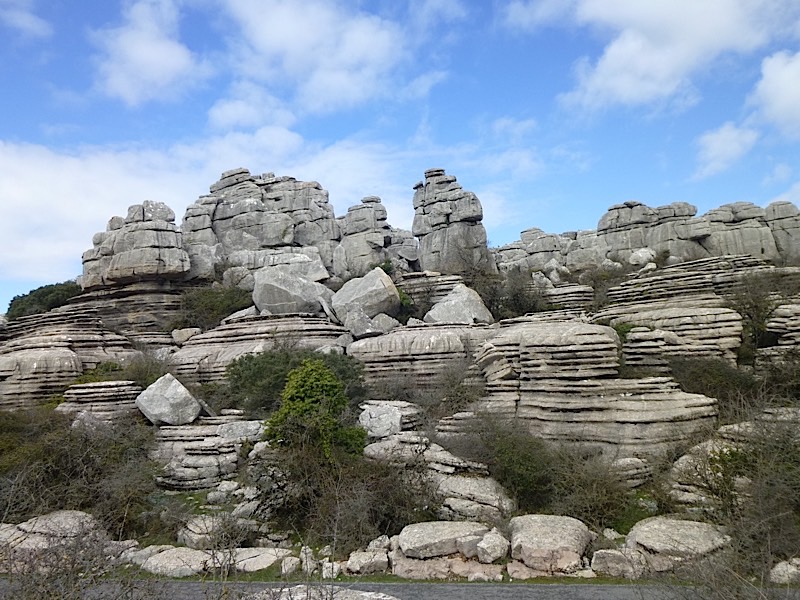 P1000659