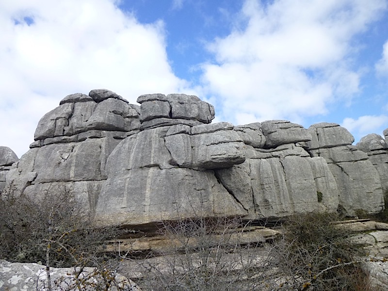 P1000664
