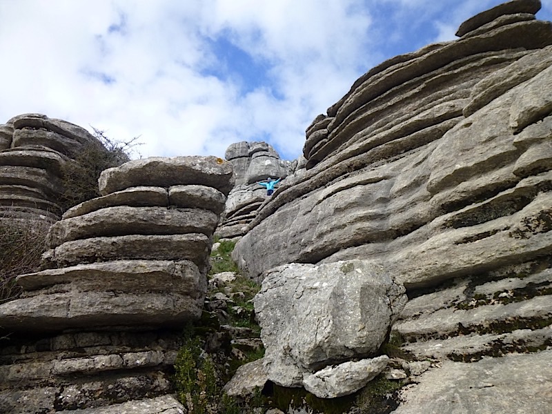 P1000667