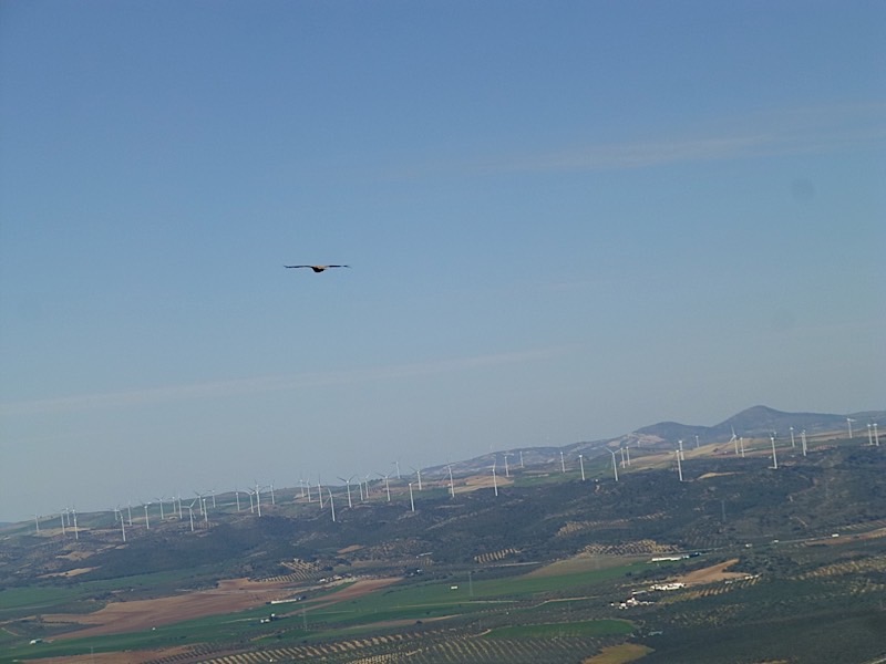 P1000715