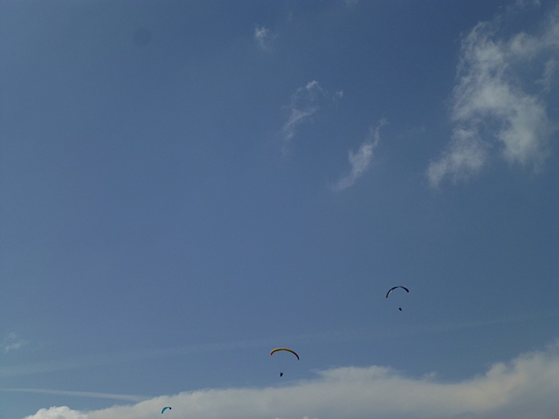 Greduvent201389