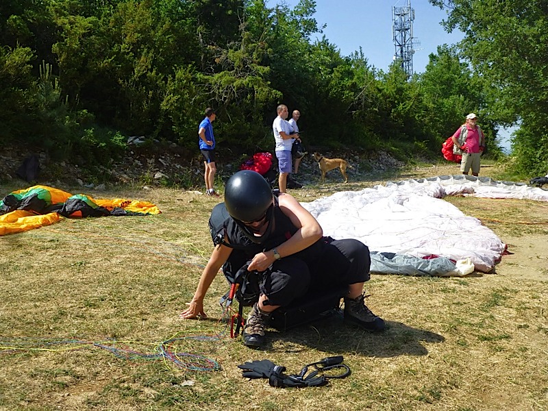 Greduvent201472