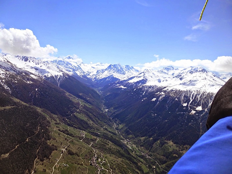 Griomentzverbier201416