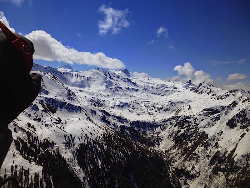 Griomentzverbier20146