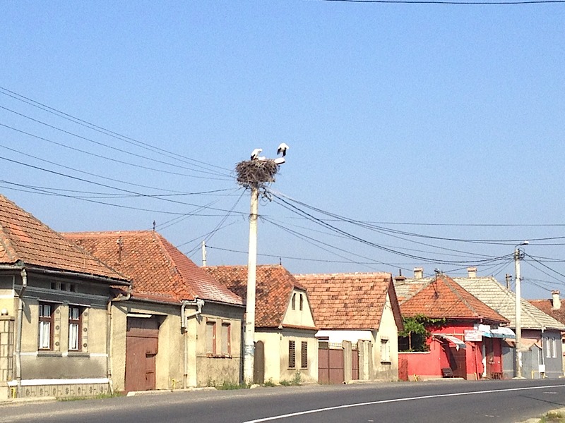 Roumanie1446