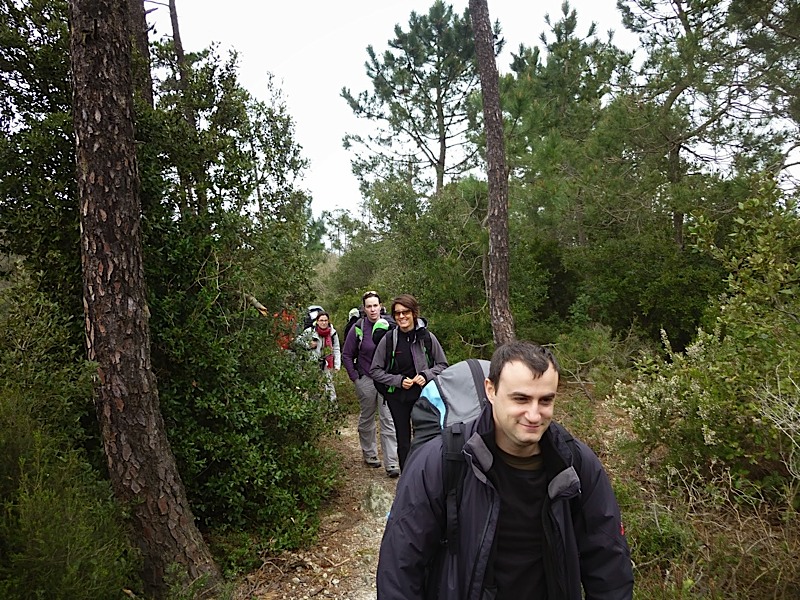 Meditenanee20141