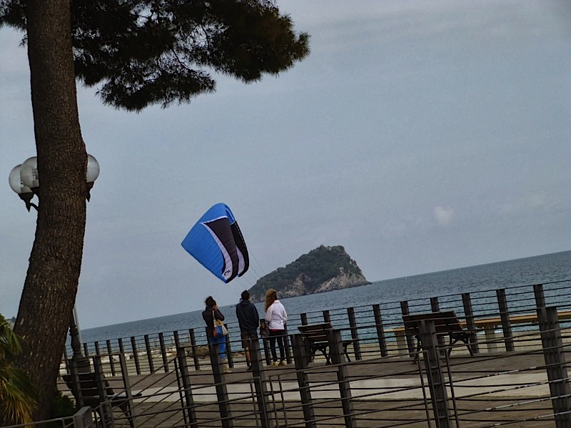 Meditenanee201438
