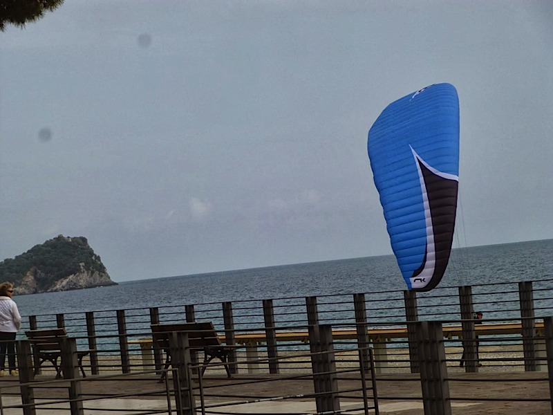 Meditenanee201440
