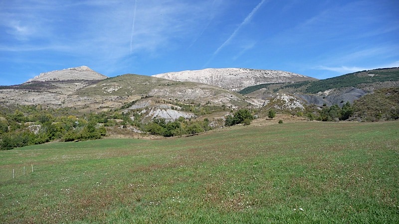 Standrecross2012115