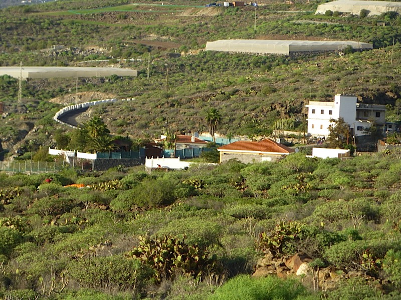 Tenerife201241