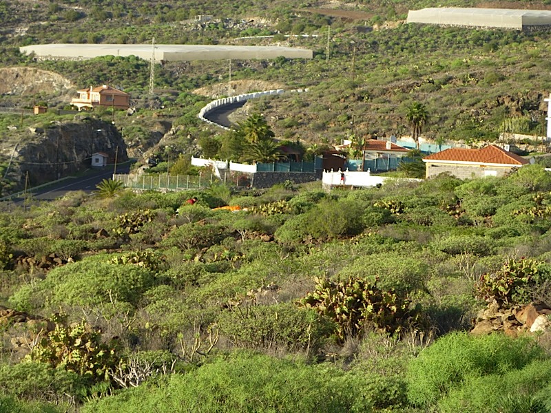 Tenerife201242