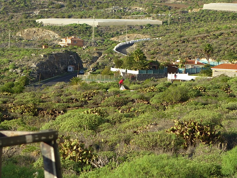 Tenerife201243
